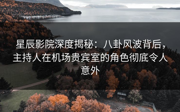星辰影院深度揭秘：八卦风波背后，主持人在机场贵宾室的角色彻底令人意外